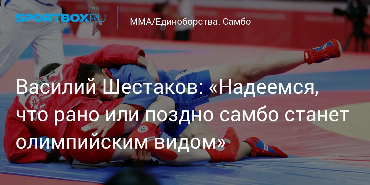 Восточные единоборства названия. Каратэ киокусинкай бои. Единоборство является олимпийским видом спорта. Тхэквондо картинки. Каратэ куинсикай.