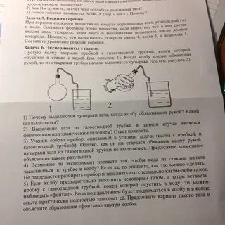 Учитель проводил опыт с растениями