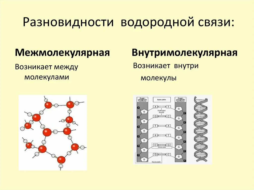 Межмолекулярные водородные связи. Виды водородной связи. Водородная химическая связь. Внутримолекулярная водородная связь. Водород вид химической связи