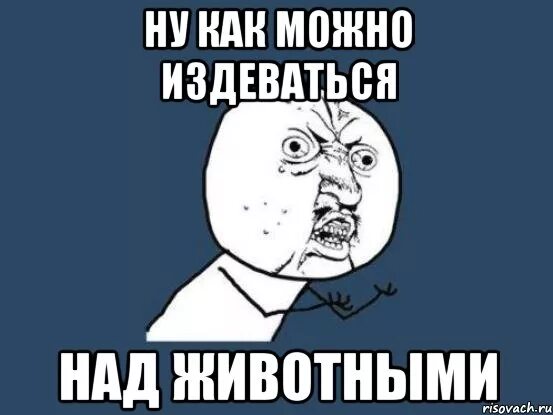 Как хорошо издеваться над