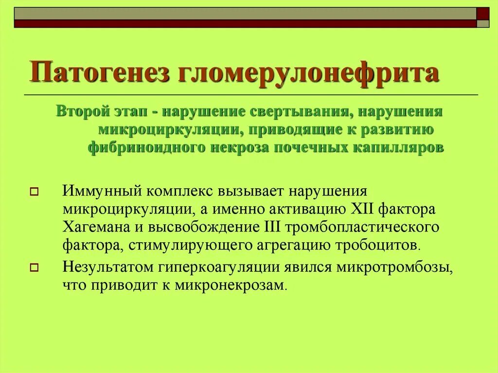 Острый гломерулонефрит после ангины. Острый гломерулонефрит этиология. Патогенез острого гломерулонефрита. Патогенез хронического гломерулонефрита. Острый гломерулонефрит патогенез кратко.