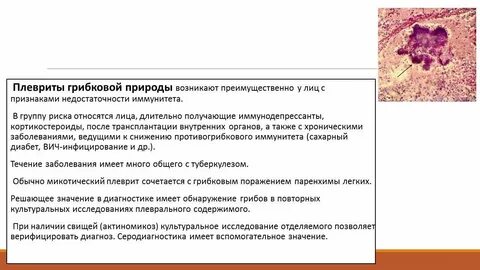 Грибок в легких