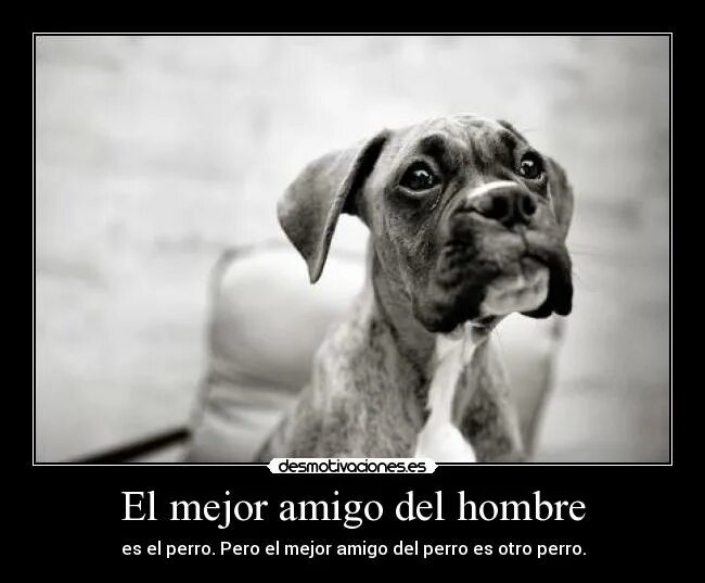 чай te amo. Aqui. El mejor перевод. Mejor. Mejor.