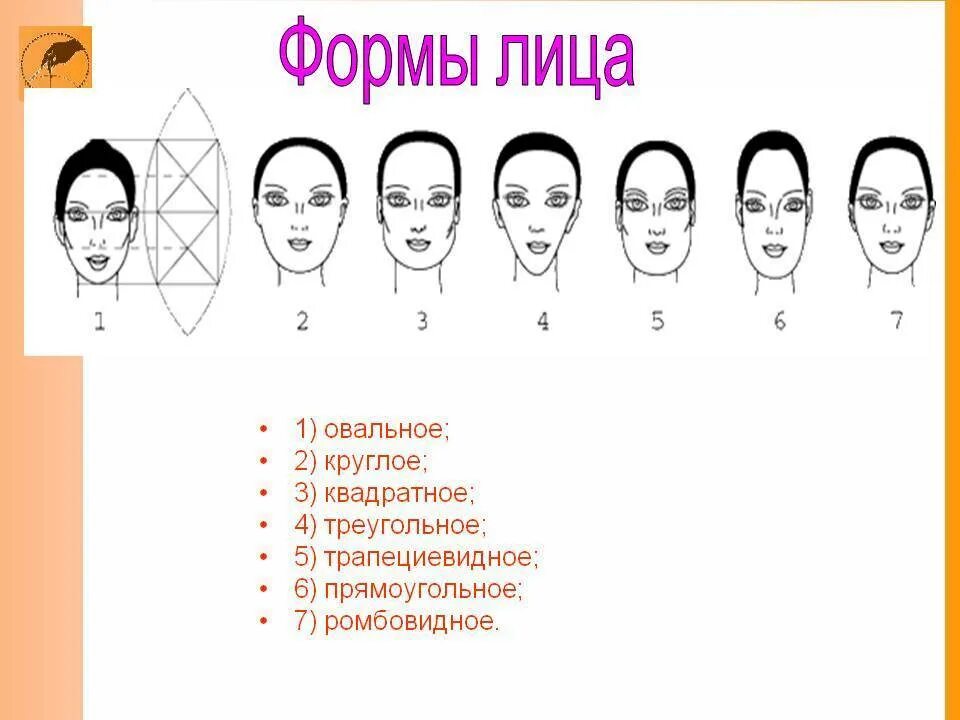 В отличии от круглых. Формы лица. Форма лица схема. Овальная форма лица схема. Типы формы лица.