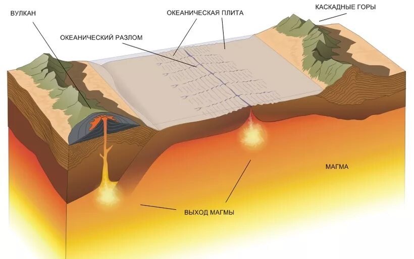 Тектонические плиты земной коры. Движение тектонических плит земли схема. Тектоника литосферных плит. Литосферные плиты землетрясения и вулканы