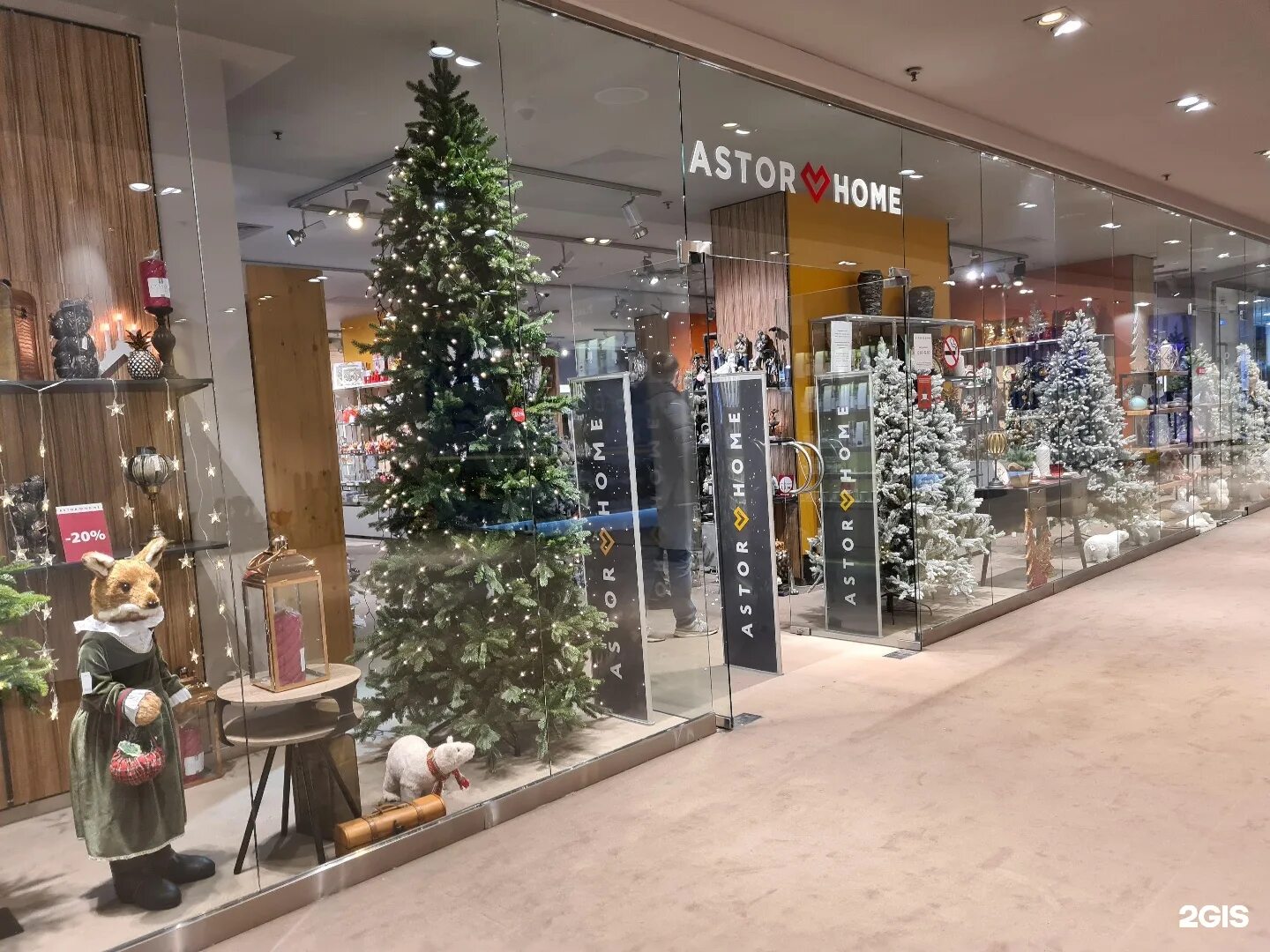 дон хоум ростов