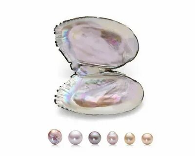 Pearl записи
