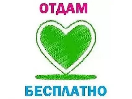 Приезжайте отдам