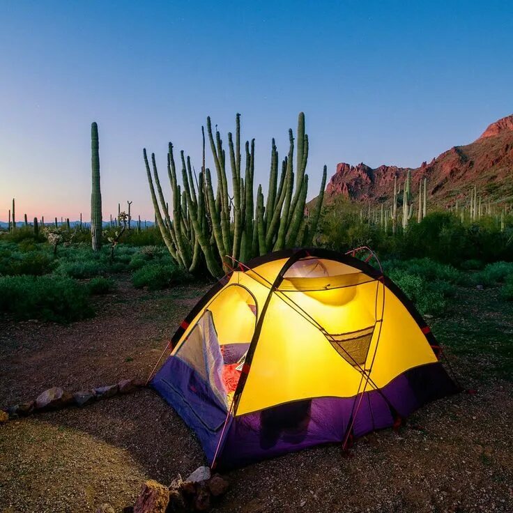 Alakol camp кемпинг. Camping тема. Camping тема. Озеро рица кемпинг. Туристы в лесу.