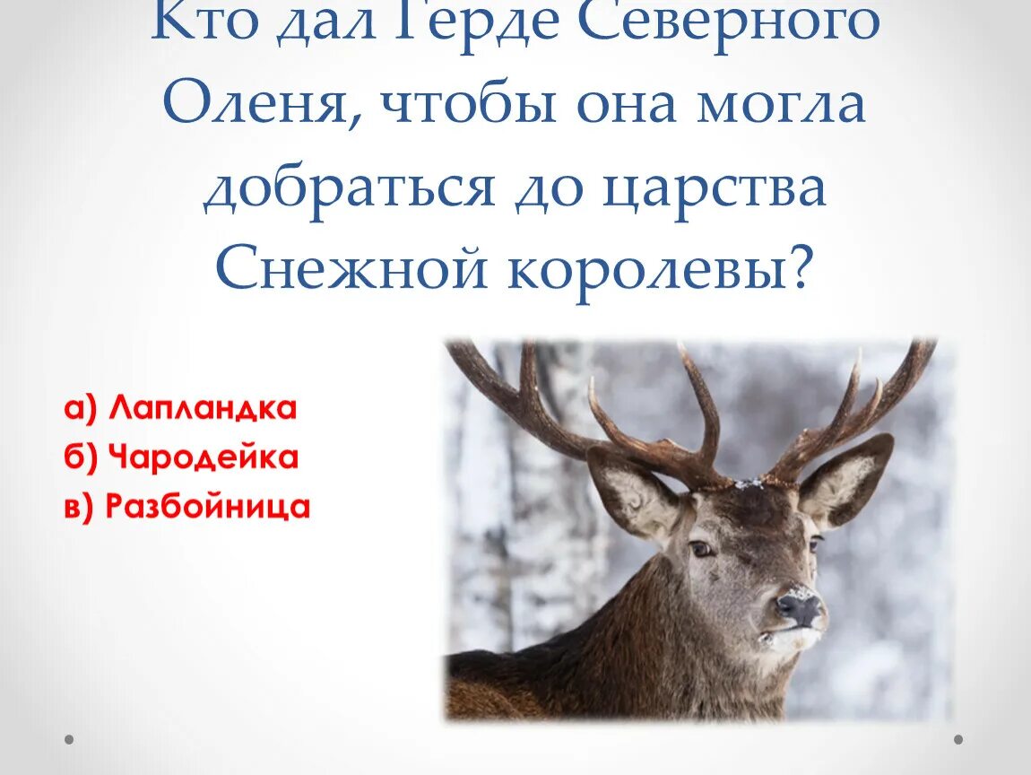 Северный олень снежная королева. Снежная королева олень. кто дал оленя герде. кто подарил герде северного оленя.