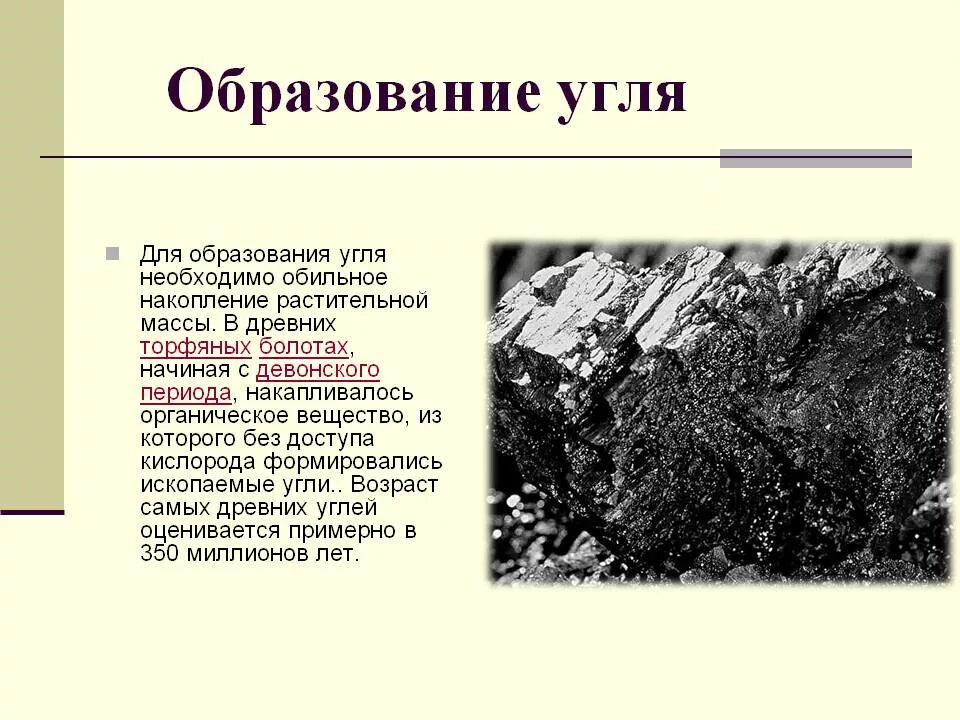 Каменный уголь биология. Доклад образование каменного угля 5 класс биология. Образование каменного угля план сообщения. Схема образования каменного угля. Формирование каменного угля.