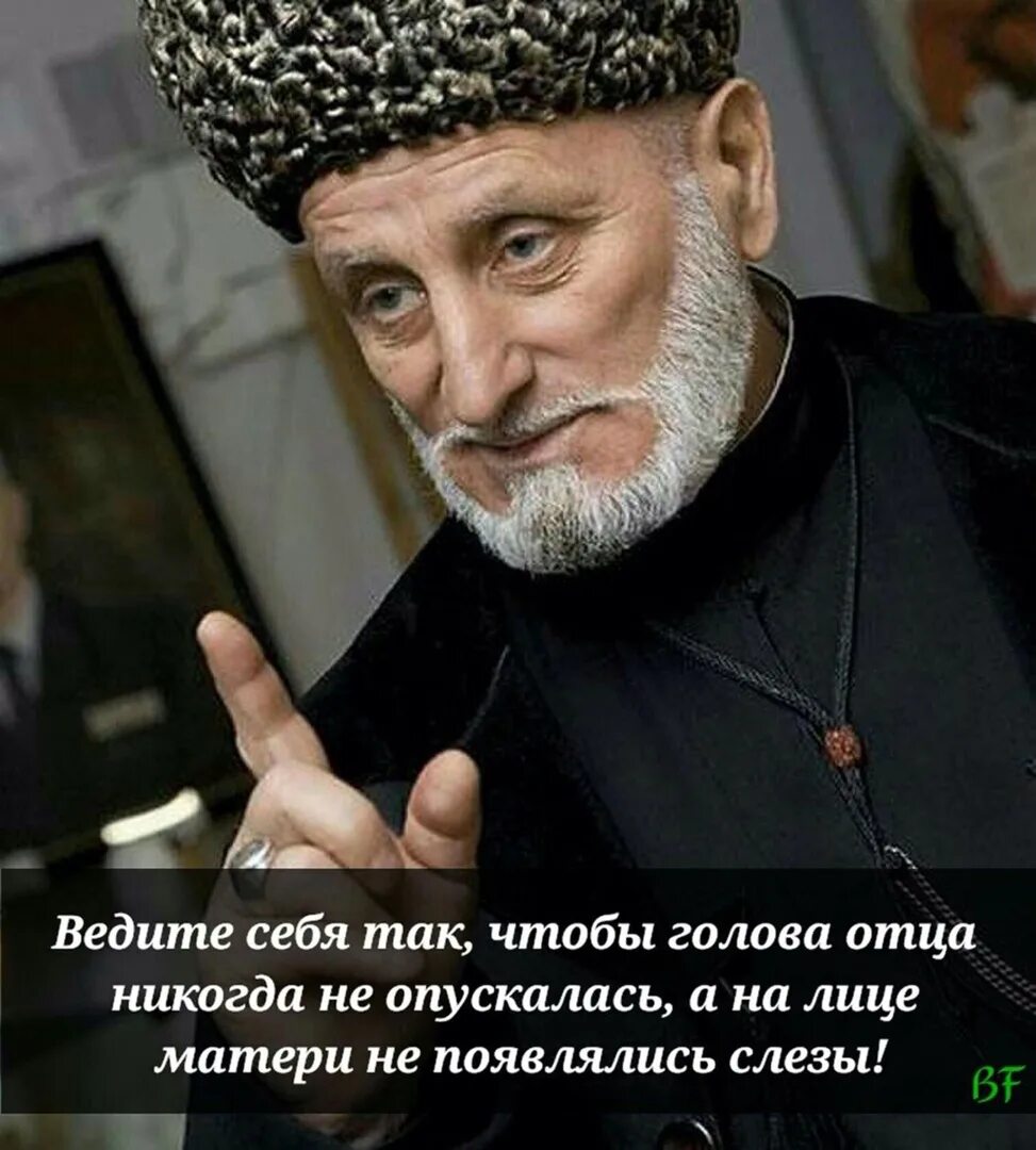 Чеченские пословицы. Кавказские высказывания. Кавказские высказывания. Кавказские мудрые слова. Стишки на чеченском.