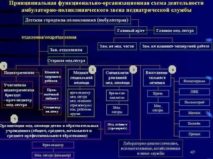 Первичное звено поликлиники