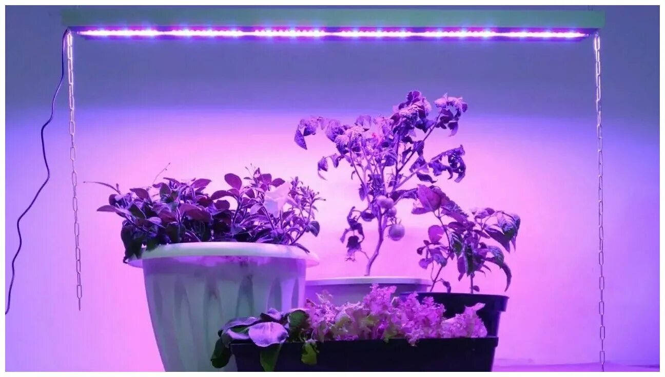 Фитолампы для орхидей. Фитолампа полный спектр для растений. Фитолампа полный спектр для растений. Фитосветильник солнцедар д-40 комфорт. Фитолампа e27.
