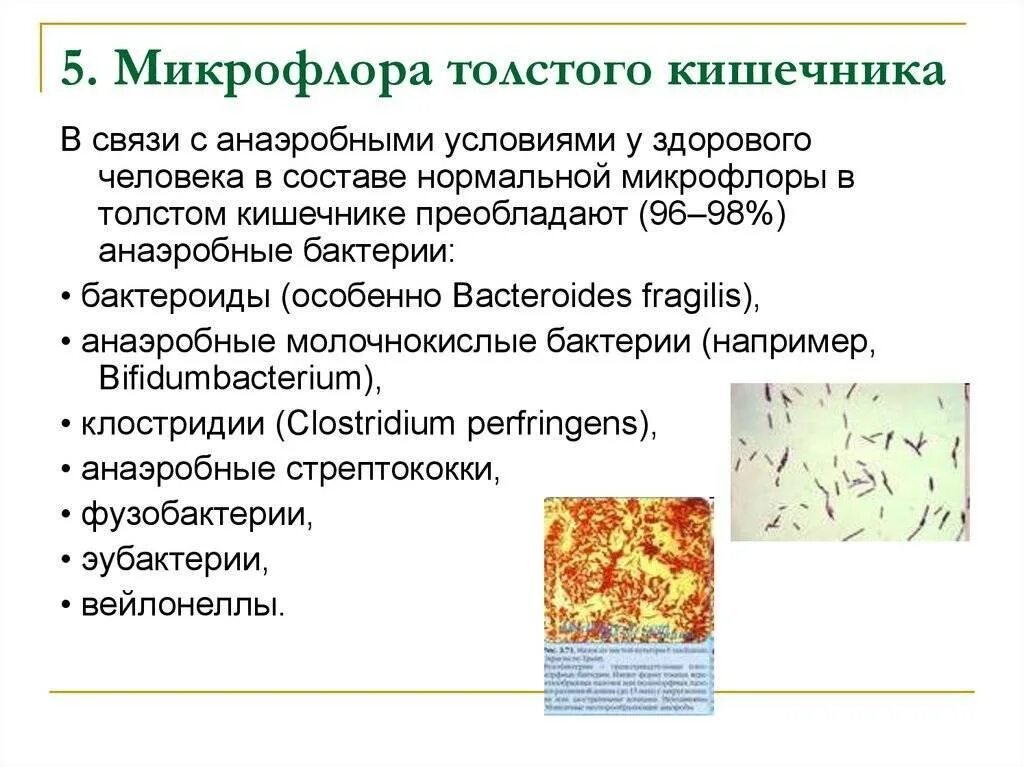 Содержащих микрофлору