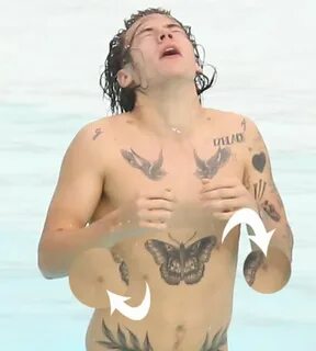 Harry Styles hat nicht zwei oder drei Brustwarzen, sondern vier! 