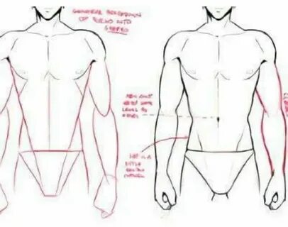 Manga body
