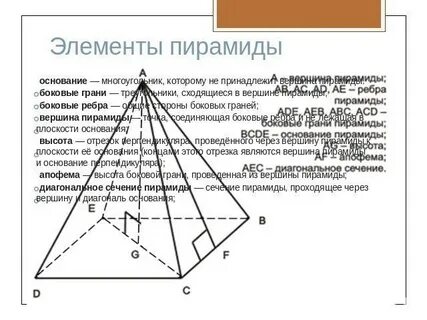 Укажите основание пирамиды