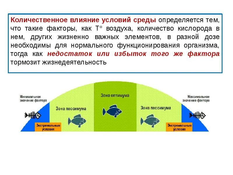Неадекватна изменениям условий среды. Условия среды. адаптация человека к среде обитания. экстремальная среда обитания. разный пол под влиянием условий среды.