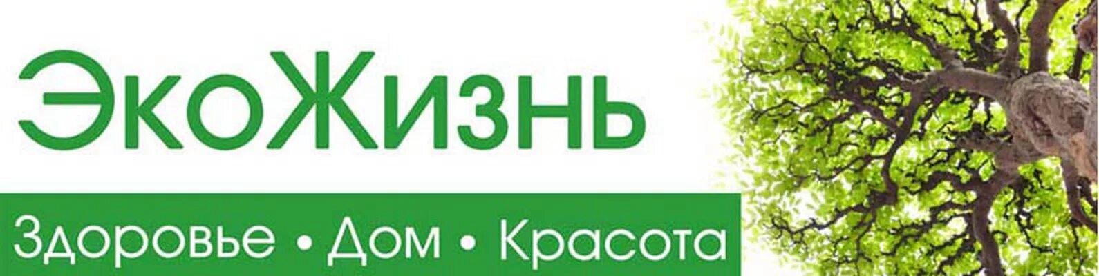 Эко жизнь. Жизнь в стиле эко. выставка жизнь в стиле эко. жизнь в стиле эко проект. жизнь в стиле эко картинки.