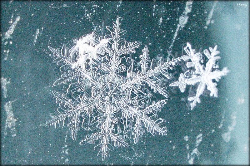 тающая снежинка песня