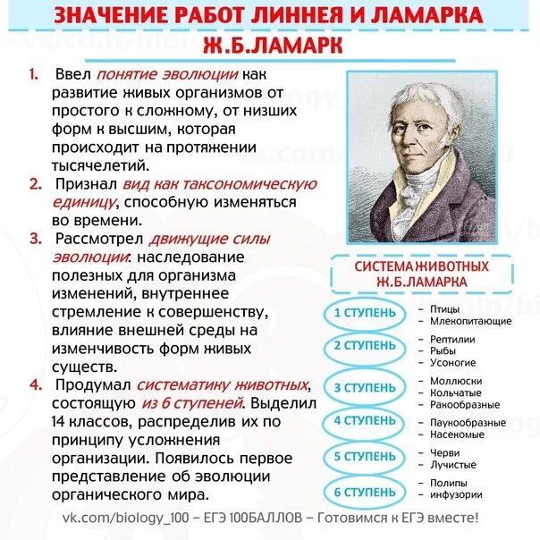 Линней является автором первого эволюционного учения. Значение работ линнея и ламарка. значение работ линнея. значение работ к. линнея и ж-б. ламарка. ламарк и линней.