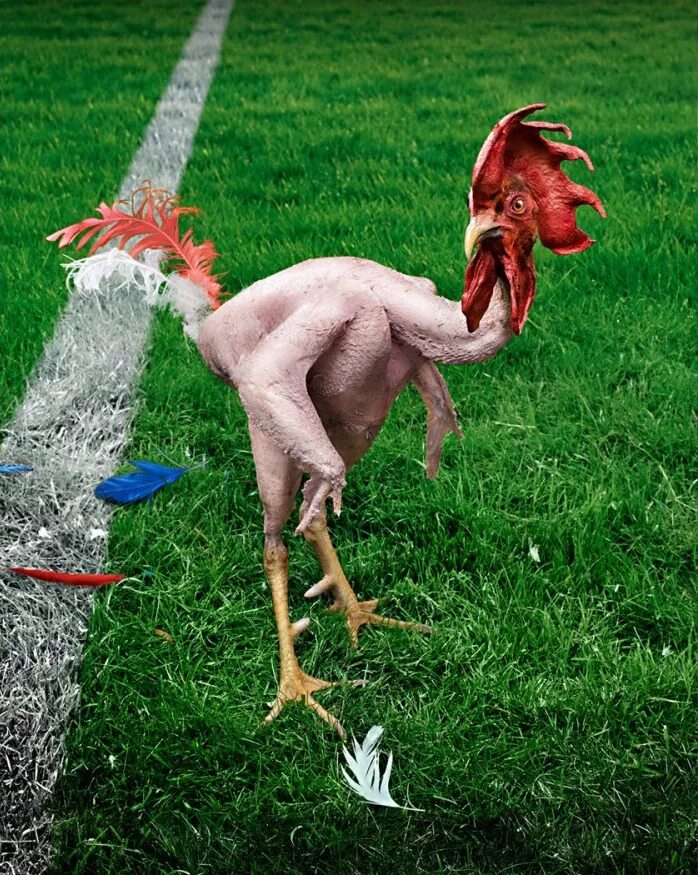 Человек животное без перьев