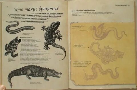 Воспитание драконов