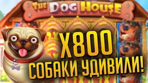 Дог хаус дайс