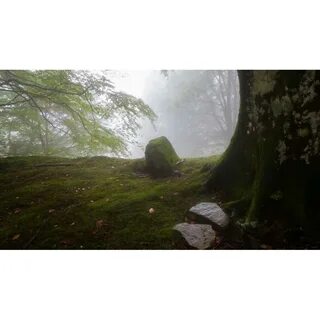 Природа комментарии