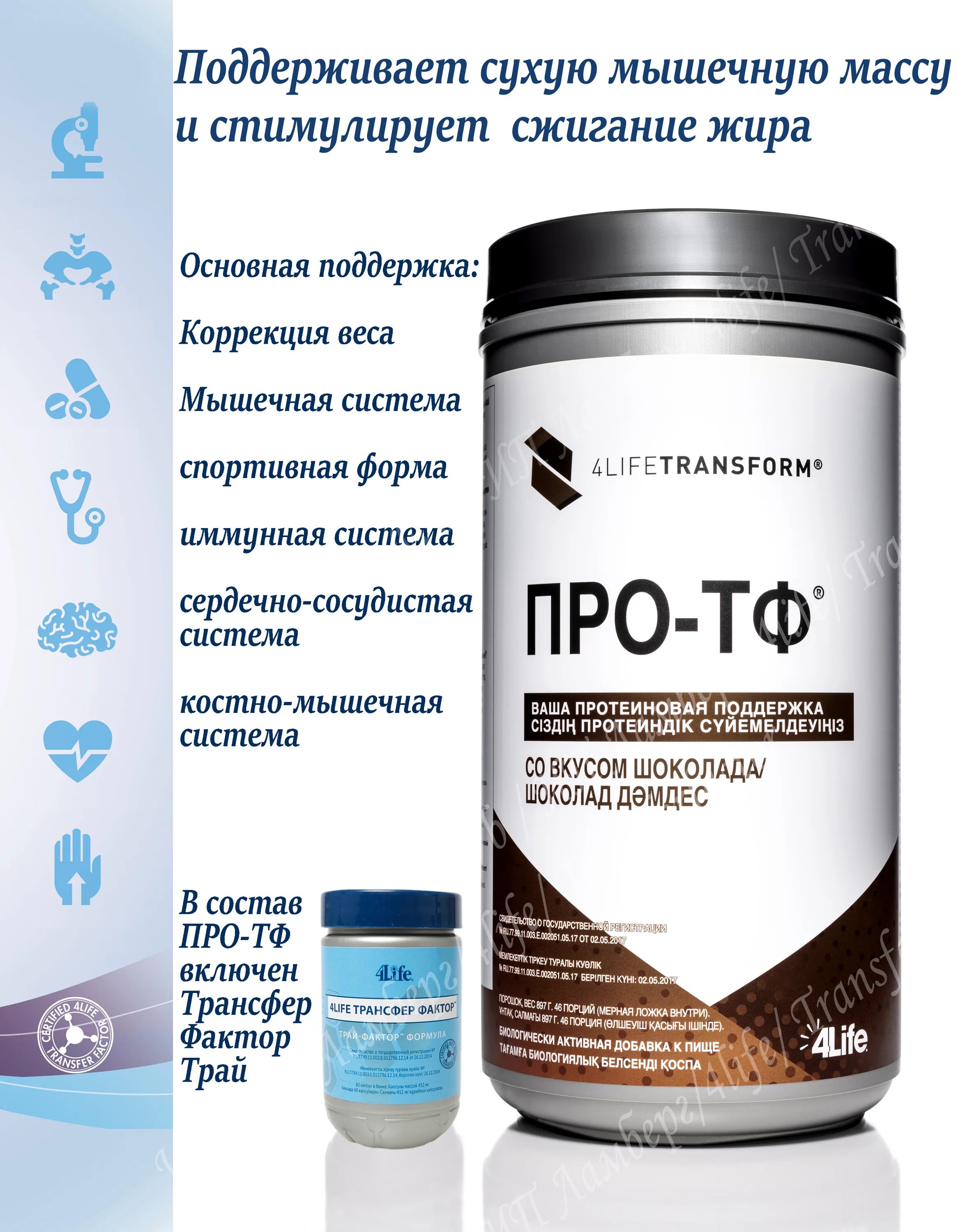 Тф 4life. 4life протеин про-тф ваниль. трансфер фактор про тф ваниль. 4life трансфер фактор протеин про-тф. состав про тф 4life.