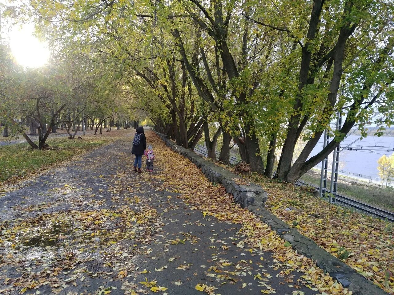 Погода вопреки прогноза была замечательная. Россия осенью. Теплая погода. Осенние улицы, дождь. Сентябрь месяц.