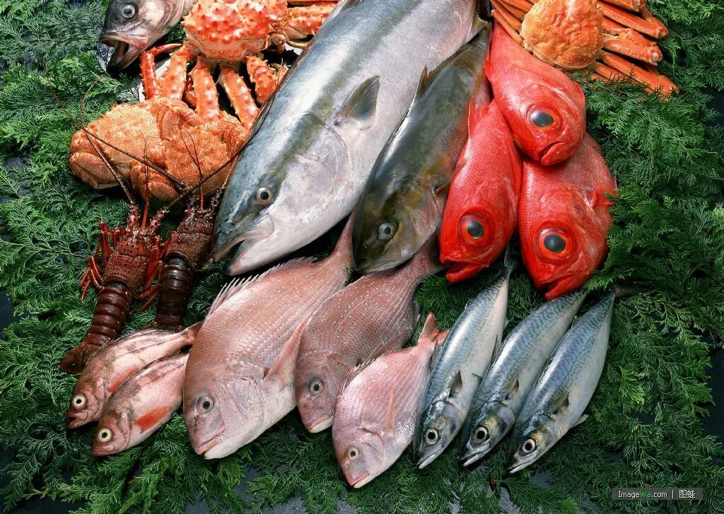 Три рыбы россии. Рыба. Свежая рыба. Рыба еда. Морская рыба для еды.