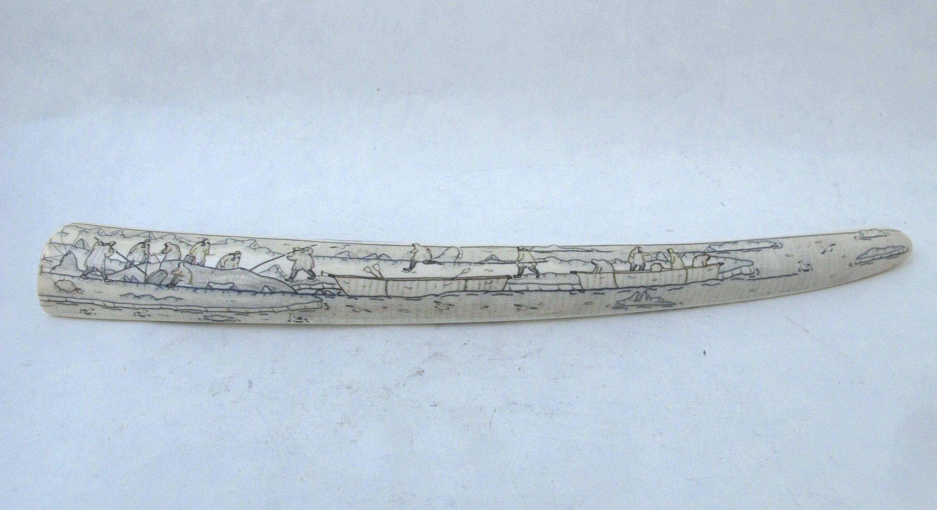 клык моржа на подставке. бакулюм моржовый резной. моржовый клык чукотка. моржовый клык. клык моржа резьба.