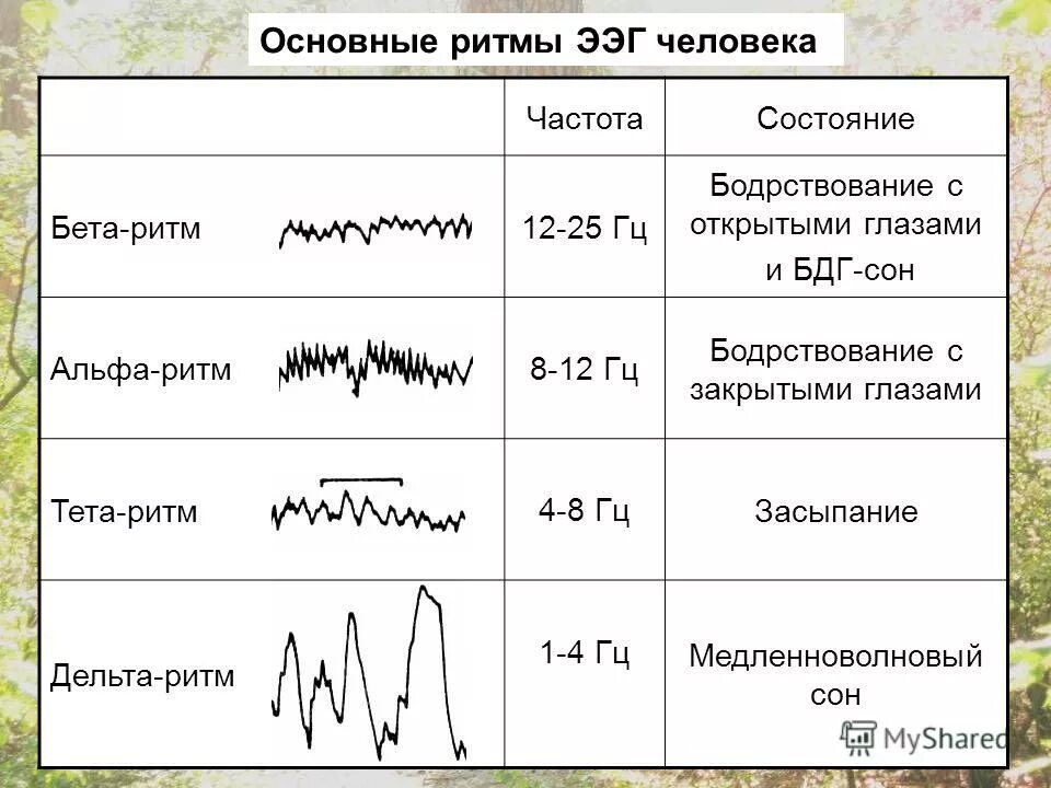 Спокойный анализ. ЭЭГ головного мозга ритм Альфа ритм норма. Основные характеристики главных ритмов ЭЭГ.. ЭЭГ Альфа бета тета Дельта ритмы. Альфа ритм бета ритм тета ритм Дельта ритм ЭЭГ.