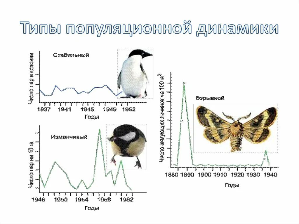 Типы динамики популяций. Сезонный Тип динамики численности популяций. Взрывной Тип популяционной динамики. Цикличный Тип динамики популяции. Изменение численности особей популяции называют