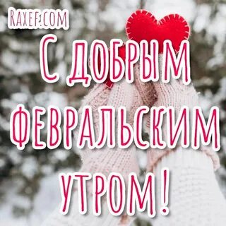 Добрый 1 февраля