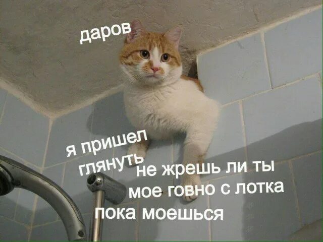 Опять Дрочить Что Ли