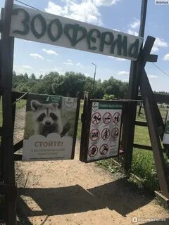Зооферма шихово отзывы