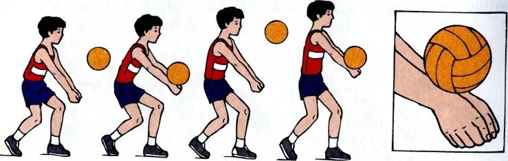 Прием передачи снизу волейбол. Передача мяча снизу двумя руками в волейболе. Передача мяча снизу в волейболе. Прием мяча снизу двумя руками в волейболе. Прием снизу в волейболе.