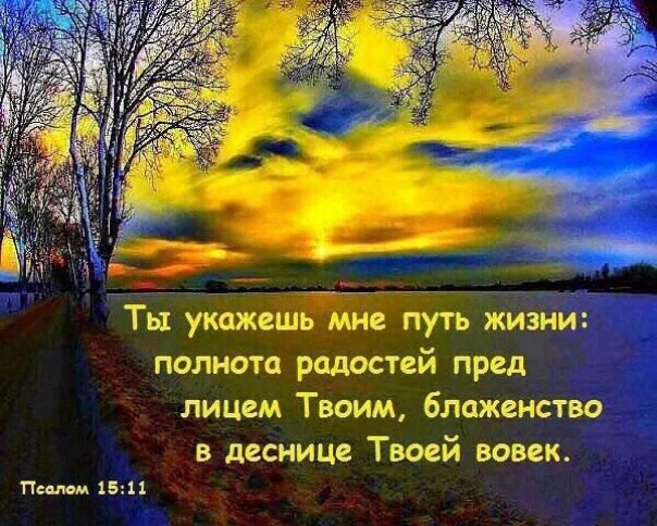 Ты укажешь мне путь жизни полнота радостей пред лицем. Библейские стихи. Ты укажешь мне путь жизни. Христианские открытки с псалмами.