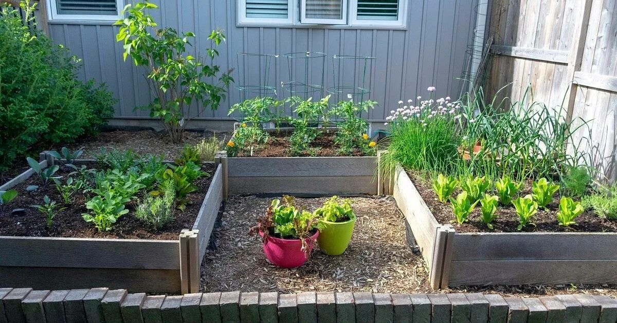 Идеи для грядок. Французский огород с зоей козичевой. Огородик пряных трав. Курдюмовские грядки. Ленивые грядки.