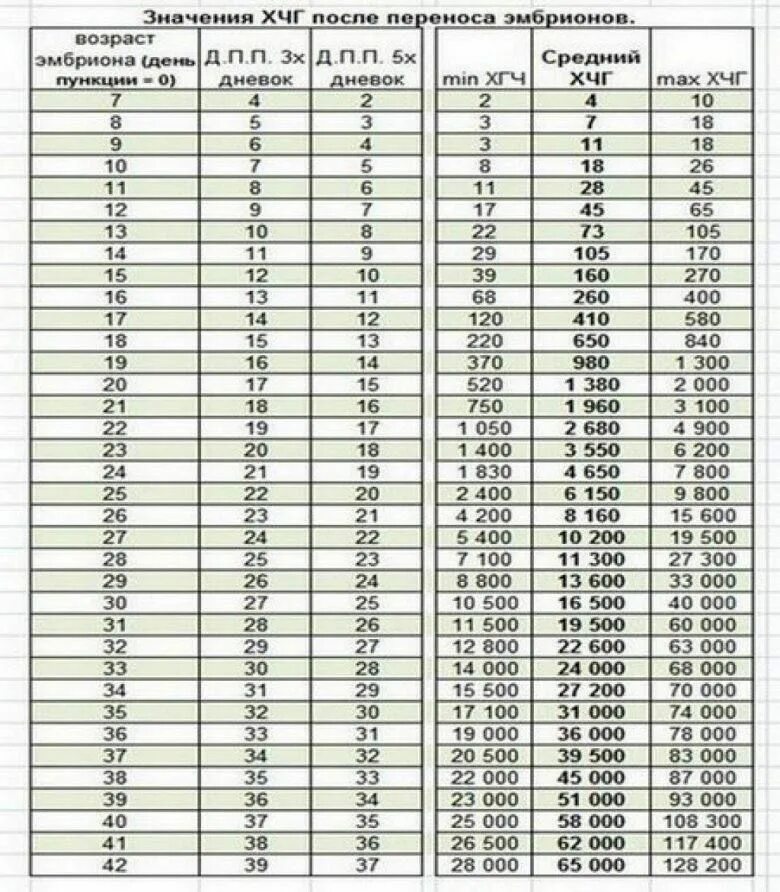 Хгч на ранних сроках после эко