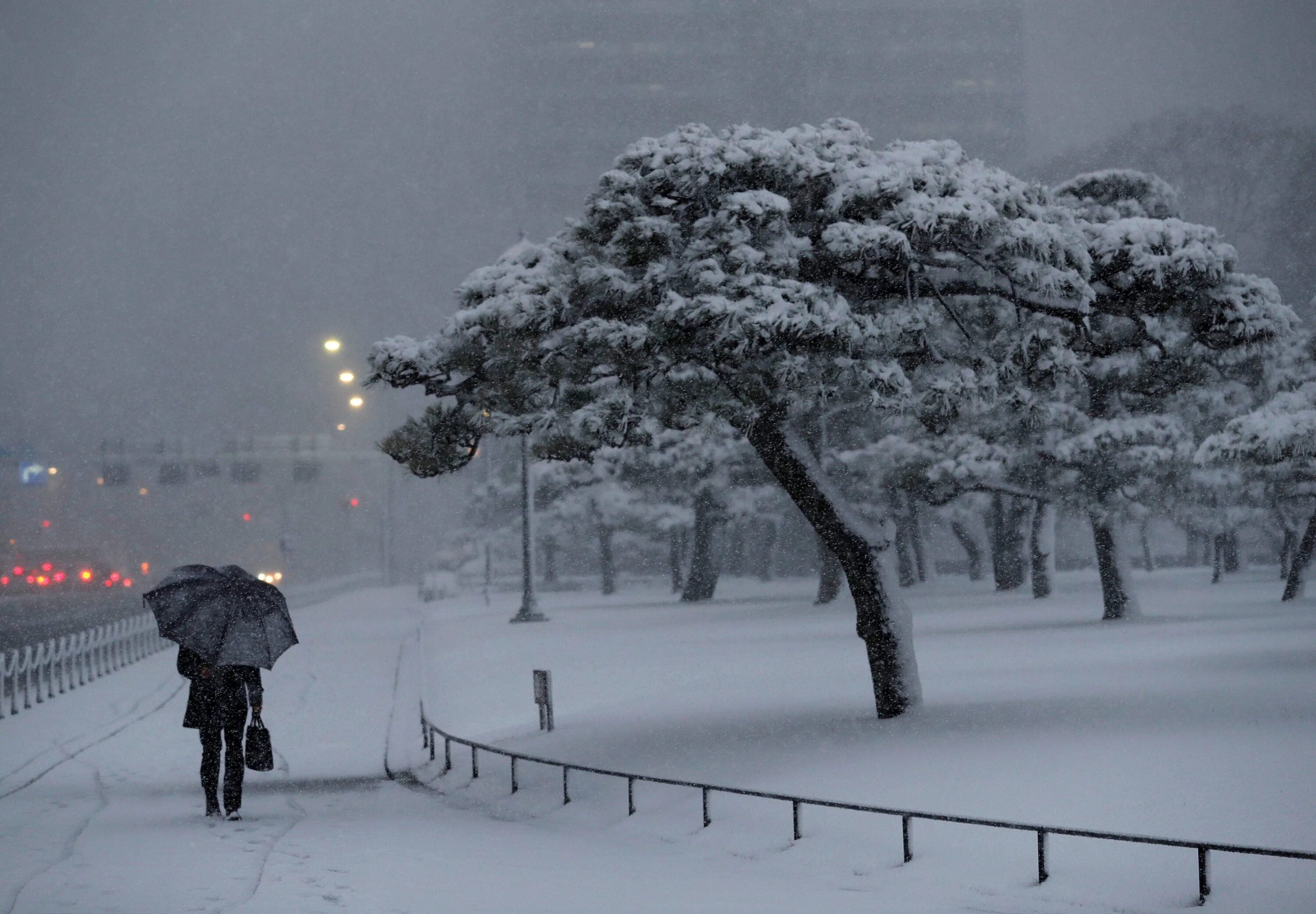 Снегопад. Зима в Японии. Снег в Японии. Снегопад фото. Ночью будет сильный снег
