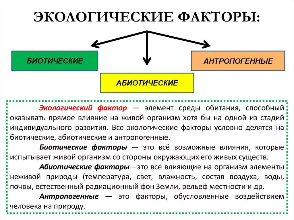 Абиотические факторы- это экологические факторы среды. Экологические факторы биотические и антропогенные. Примеры экологических факторов 5 класс биология. Перечислите экологические факторы среды.