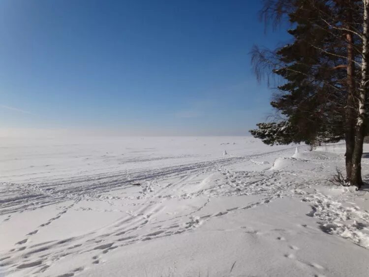 Бухта зимой. Санкт-петербург море зимой. Финский залив зимой. Вид на финский залив зимой. Финский залив спб зимой.