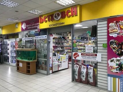 Бетховен курск