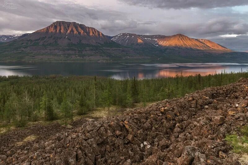 Озеро Виви на плато Путорана. Гора камень на плато Путорана. Плоскогорье плато Путорана. Таймыр плато Путорана. Среднесибирское плоскогорье леса