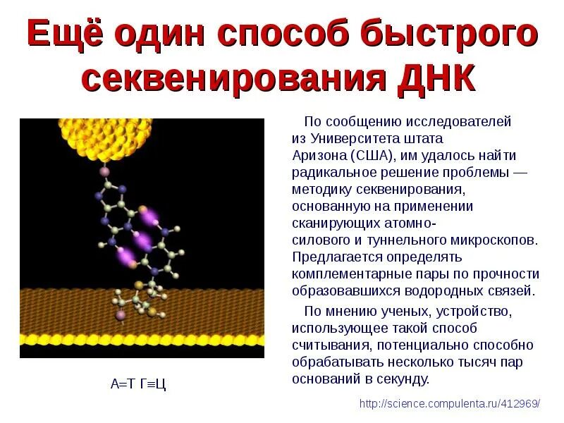 Метод секвенирования днк. Секвенирование ДНК. Секвенирование вирусов. Секвенирование метод в биологии. Секвенирование ДНК презентация.