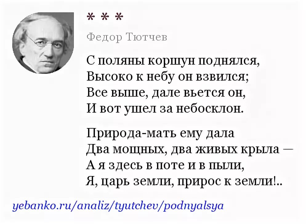 Стихотворение с поляны коршун. С Поляны Коршун поднялся Тютчев. Тютчев с Поляны Коршун. Ф.Тютчева "с Поляны Коршун поднялся".. Стих Тютчева Коршун поднялся.